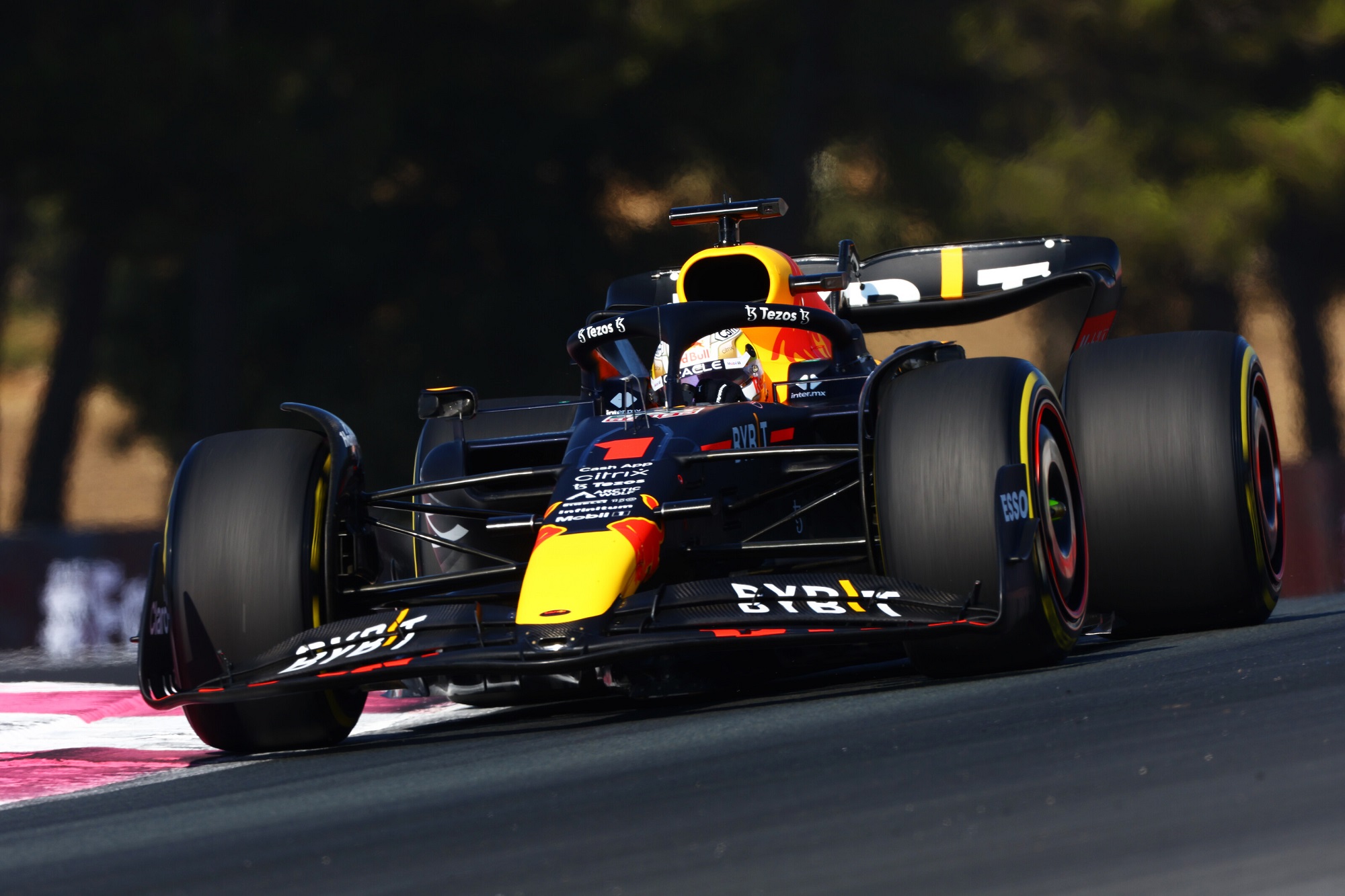 F1, French GP